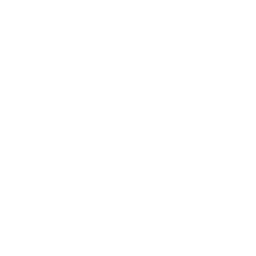 Custom CRM Development